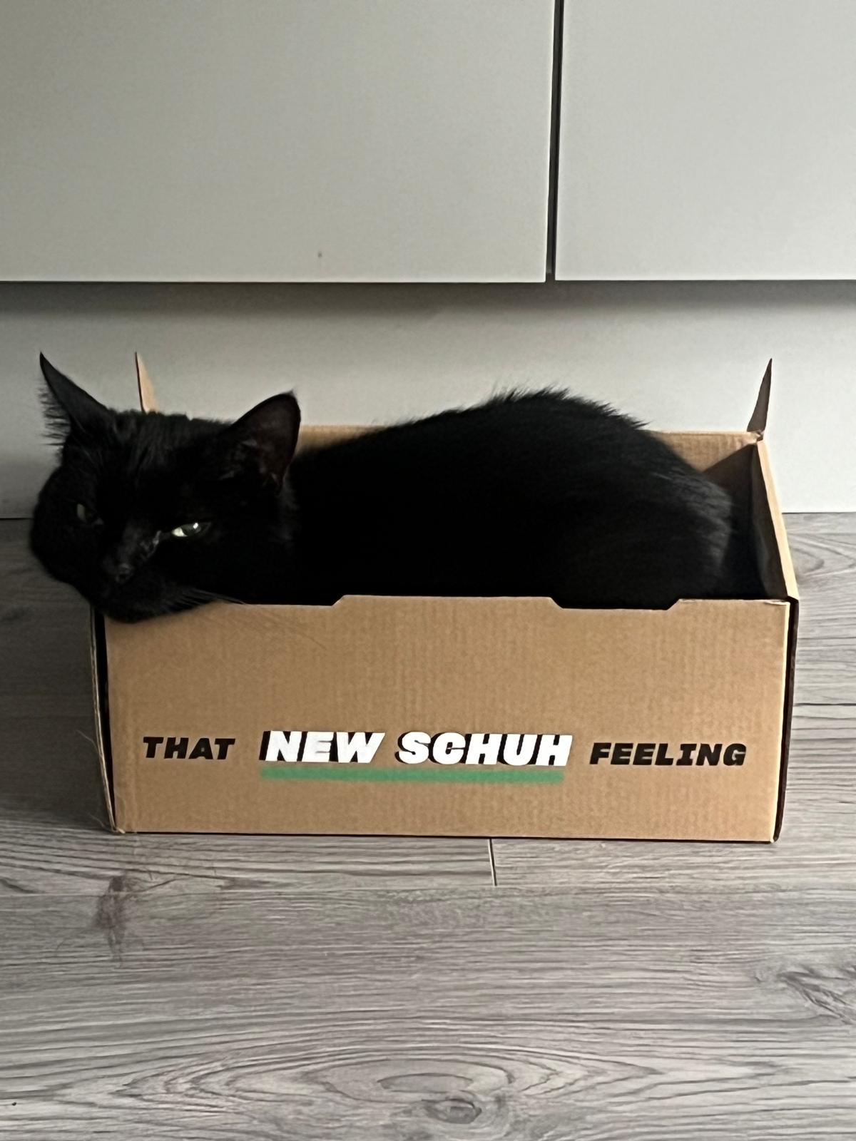 Happy pet (placeholder)